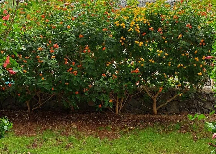 Casa Bento Διαμέρισμα