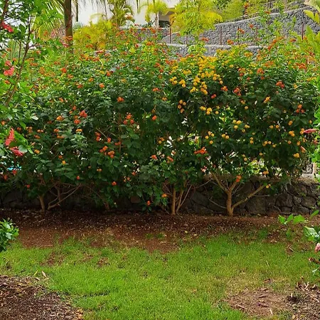 Casa Bento Appartement