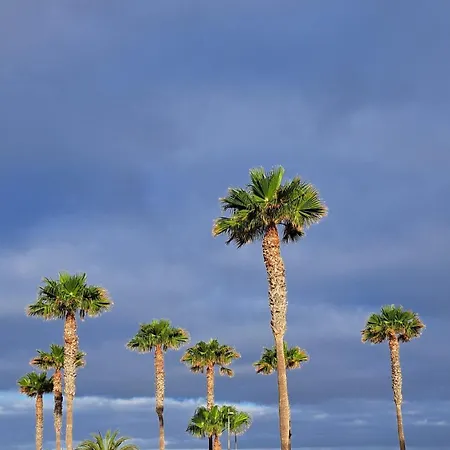 Casa Bento Appartement *